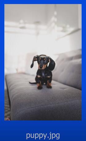 页面SEO优化终极指南（15大策略按谷歌最新规则2022更新）(图36)